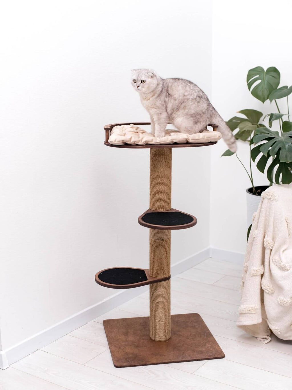 Small Cat Tree