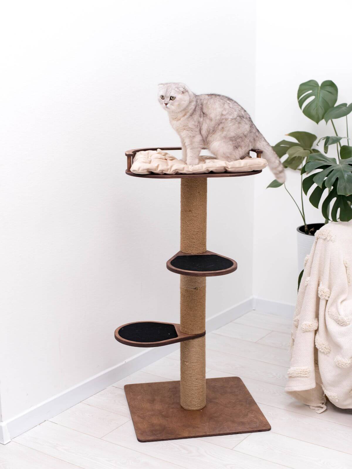 Small Cat Tree